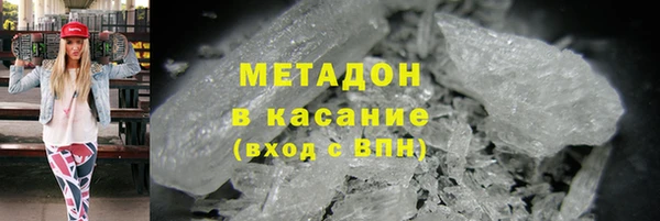 стаф Алексин
