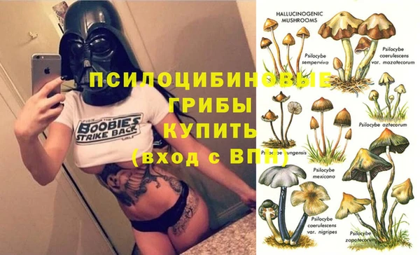 стаф Алексин