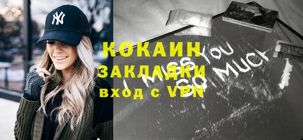 стаф Алексин