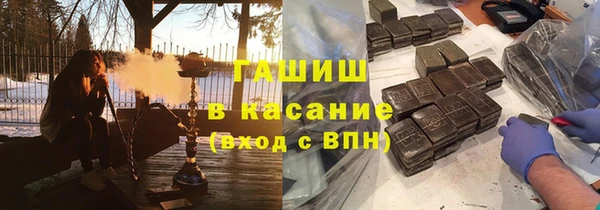 стаф Алексин