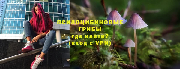 стаф Алексин