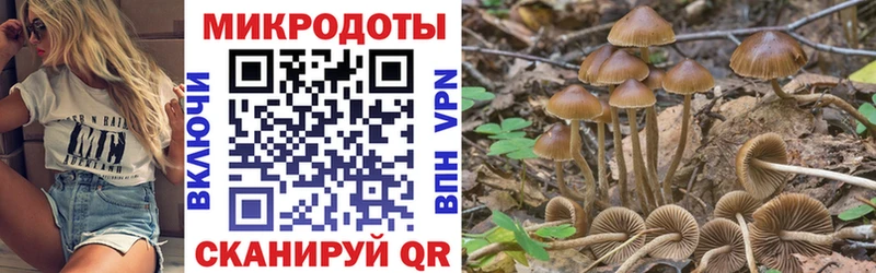 как найти наркотики  Киров  MEGA как зайти  Галлюциногенные грибы Psilocybe 